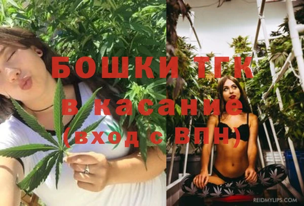 a pvp Бородино