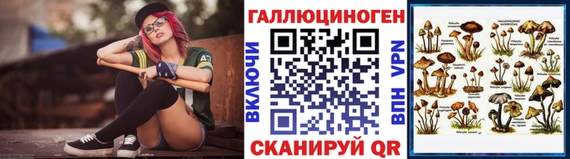 Купить закладки  Мурино  Псилоцибиновые грибы мицелий 