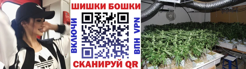 Купить  Мурино  Бошки Шишки VHQ 